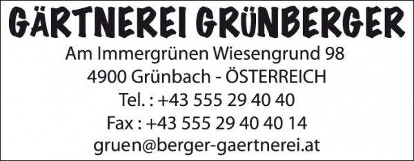 Colop Expert Line 3300