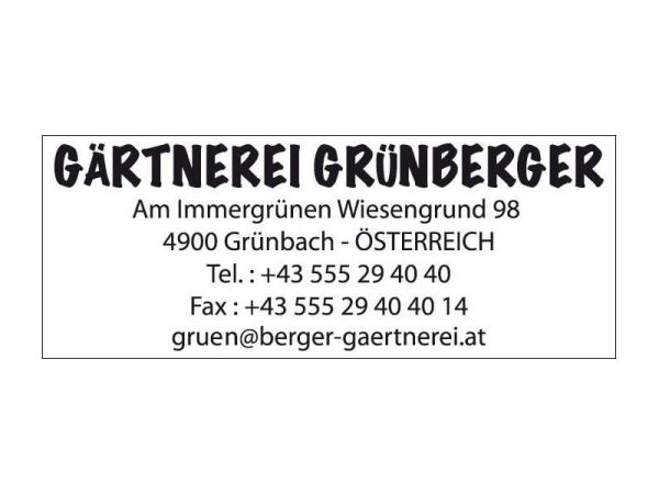 Colop Classic Line 2300 (45x30 mm, 7 Zeilen)